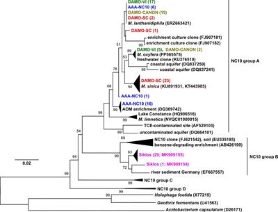 Nitric Oxide Dismutase (nod) Genes as a Functional Marker for the Diversity and Phylogeny of Methane-Driven Oxygenic Denitrifiers